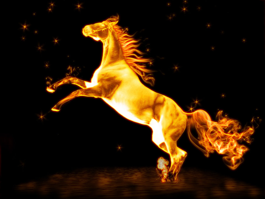 fire_horse_by_tedian